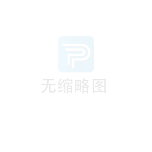 RR500 - 平面砂带抛光机